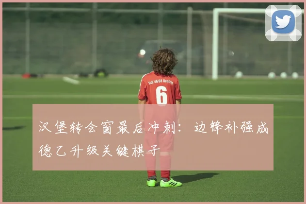 汉堡转会窗最后冲刺：边锋补强成德乙升级关键棋子